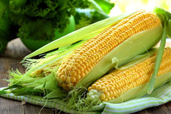 Corn Varieties